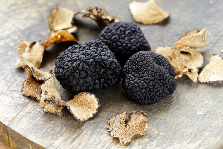 Black Truffle Dordogne