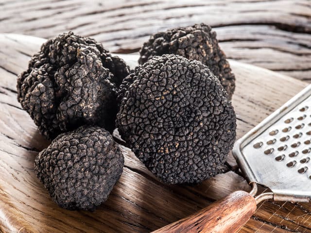 Fresh Black Perigord Truffles on a wooden board