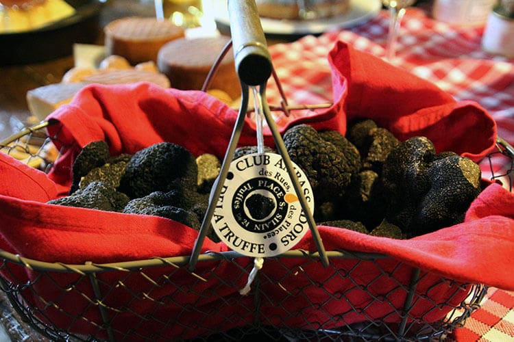 Black Gold: Truffle Hunting in the Dordogne