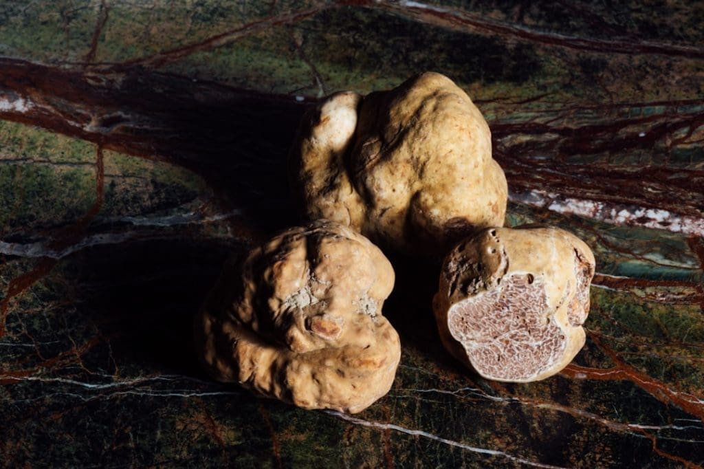 Fresh white truffles on a marble surface, showcasing their textured exterior and rich, marbled interior.
